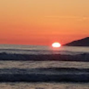 Meet your Posher, Iris